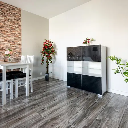 Apartament Cozy Red Rose Apartment, 2 Down Town