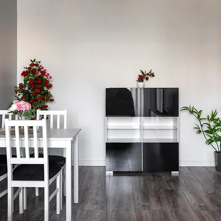 Cozy Red Rose Apartment, 2 Down Town Apartament *