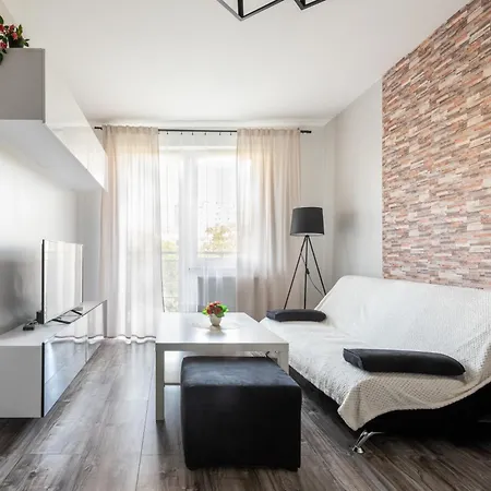 Cozy Red Rose Apartment, 2 Down Town Apartament *